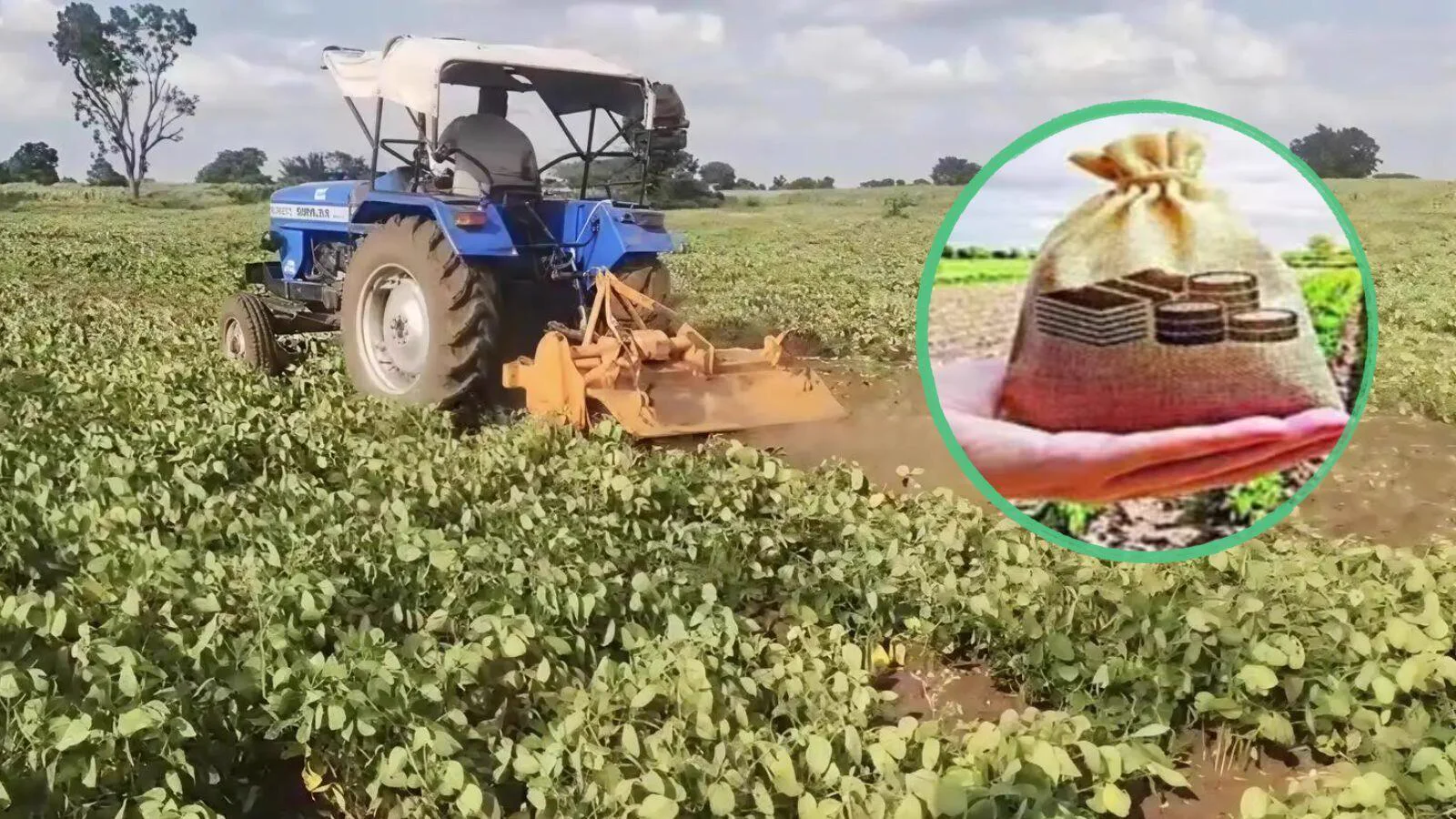 A tractor working in a field, with a money bag inset.
