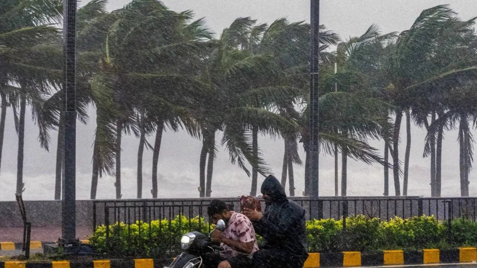 Heavy rain and strong winds bend palm trees on a coastal road.