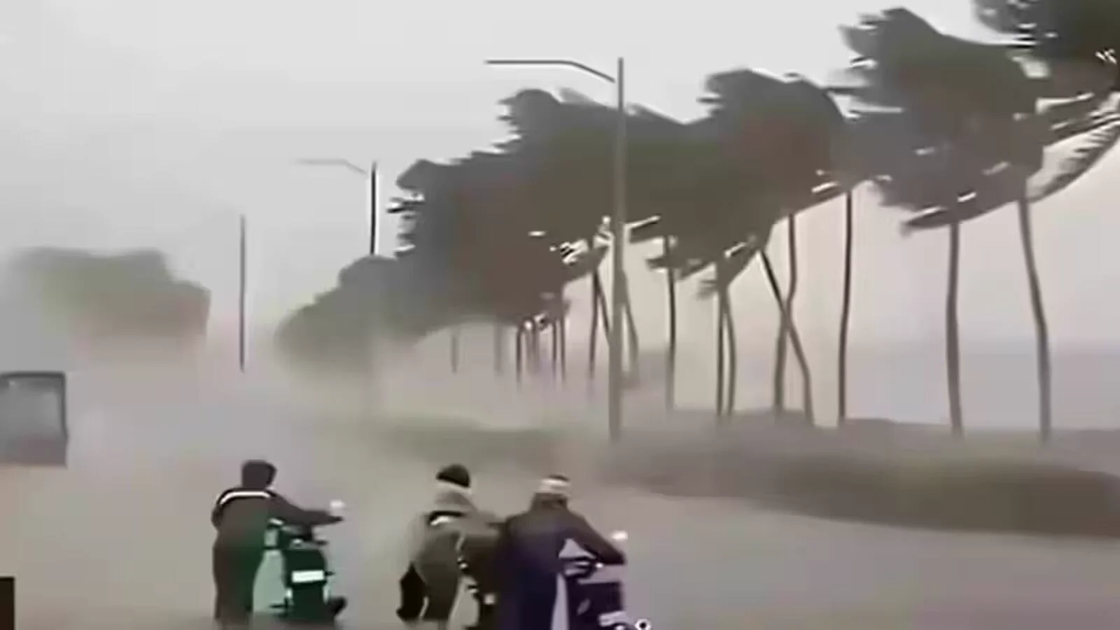 Representative image of a storm bending trees in heavy rain and wind.