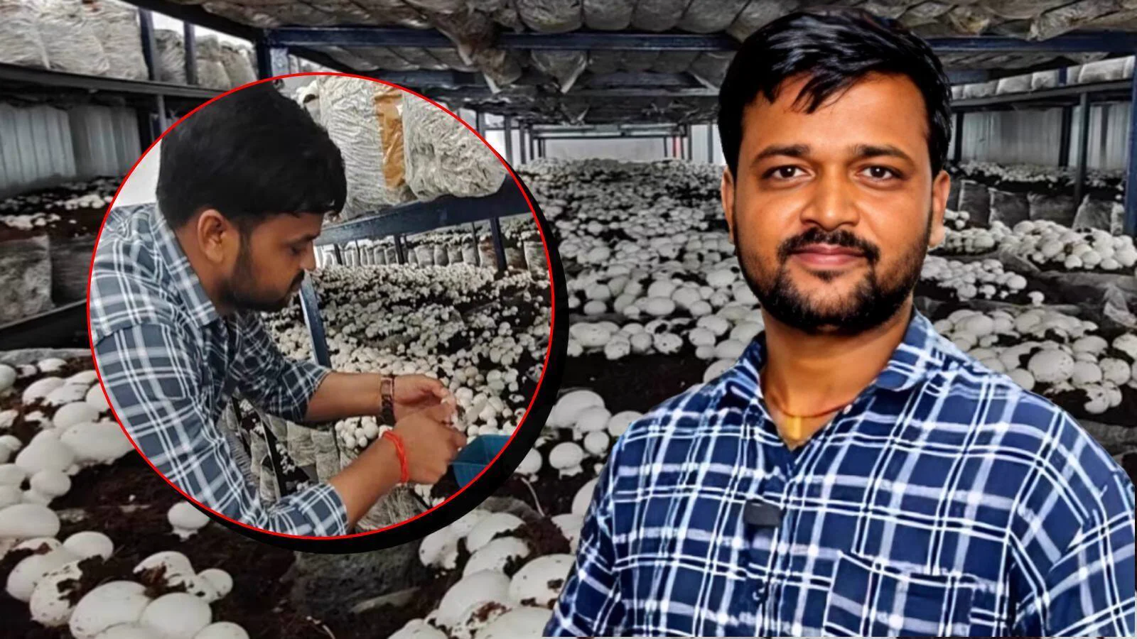 Upendra Kushwaha in his mushroom unit.